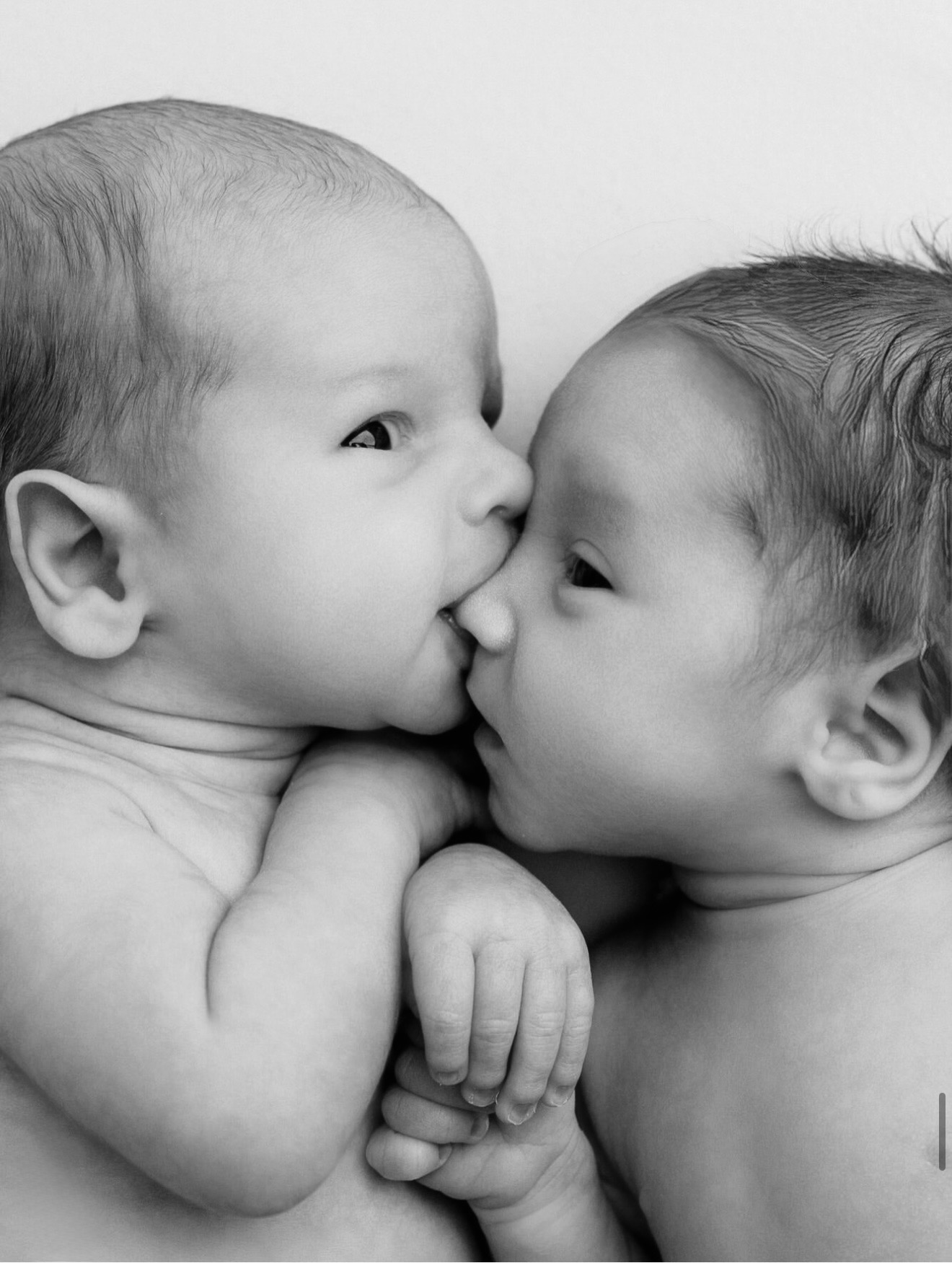 Black and white newborn twins portrait